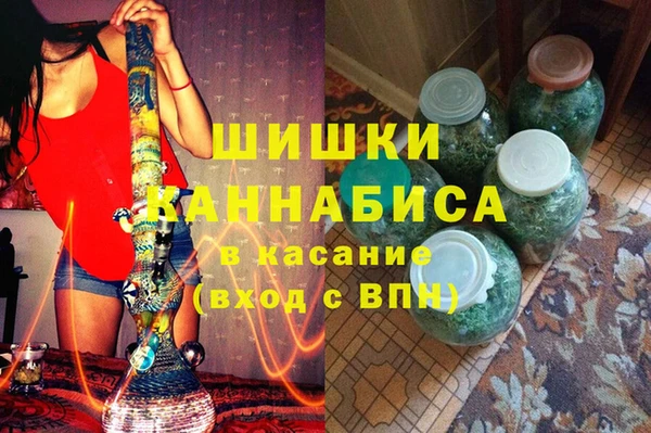 молекула духа Пересвет