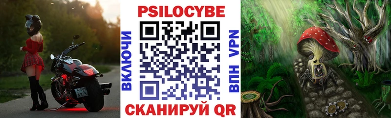 МЕГА ССЫЛКА  Белгород  Псилоцибиновые грибы GOLDEN TEACHER 